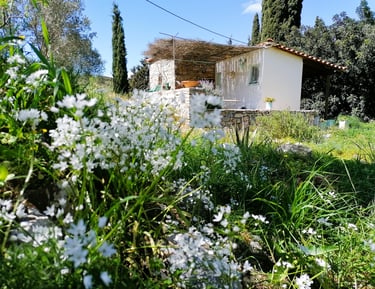 Vakantiehuisje Samos in het voorjaar