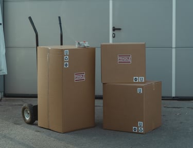 pharma carton sample