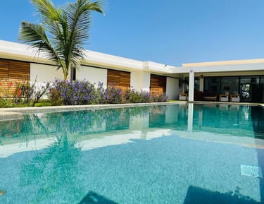 a pool with a palm tree and a palm tree