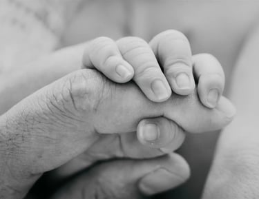 Photographe naissance - Papa Ours Photo