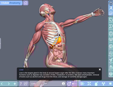 Ipad Medical App