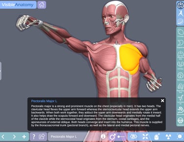 Ipad Medical App