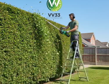 homme qui taille une haie