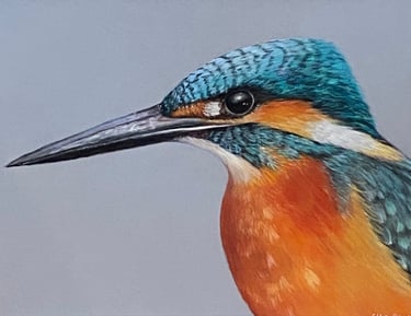 Colourful Kingfisher