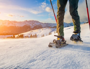 schneeschuhwanderung durch den Wald in Leutasch