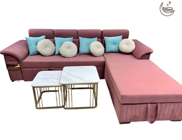 Sofa-cum-bed with storage available in Faridabad showroom