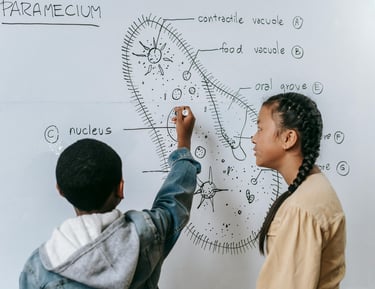 Strive Learning Solutions, tutoring, South Florida, reading, writing, math, SAT prep, K-12, academic