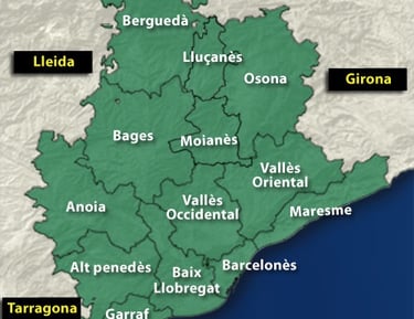 vaciado de pisos en la provincia de Barcelona