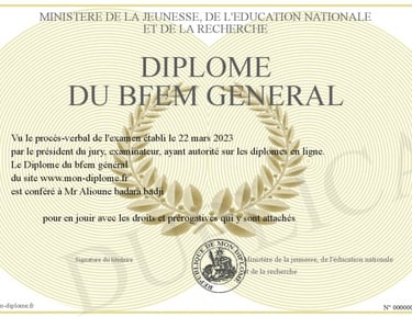 Personnalisation de diplômes universitaires français sur mesure.