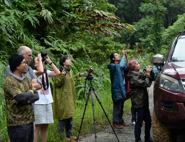 a group of people standing around a vehicle while observing wildlife