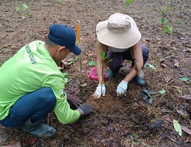 two people planting a tree during conservation project