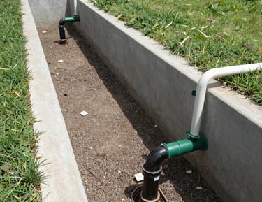 A healthy, lush lawn above a well-maintained drain field.