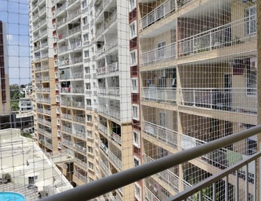 Wide shot of a busy Mumbai street with buildings featuring pigeon net installations.