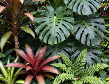 A beautifully designed garden with colorful flowers and stone pathways.