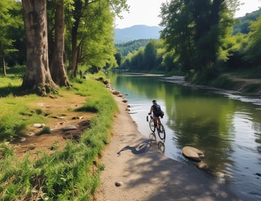 Electric and regular bicycles parked near the guesthouse ready for a ride.