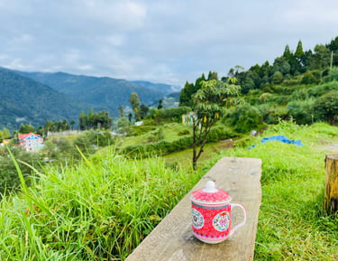 Okhrey Homestay