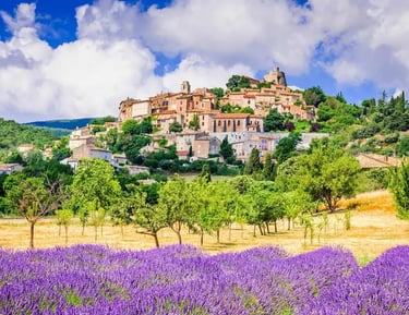 luberon villages shore excursion from marseille