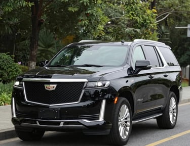 A friendly Chinese driver assisting passengers with luggage beside a spacious vehicle