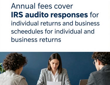 Professional bookkeeping software screen