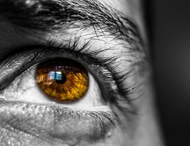 brown iris in man's face