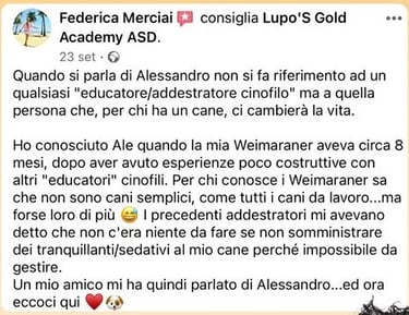 cuccioli sharpei campania