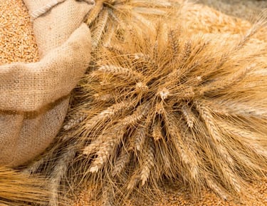 Millets Export