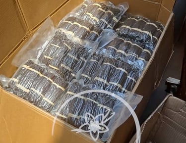 Wholesale supplier vanilla beans