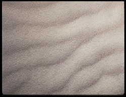 ¿Qué es el Coaching?