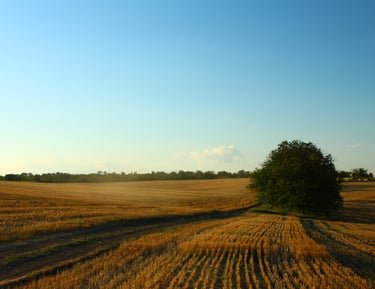campo-energias-renovaveis