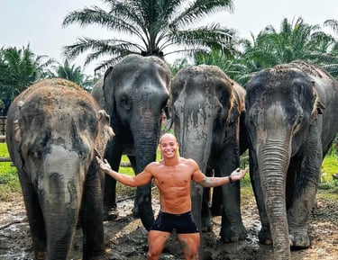 foto com elefantes em um santuário ético na Tailandia