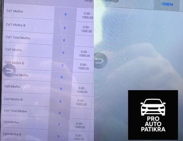 Autopatikra diagnostika