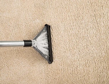 nettoyage tapis couleur beige Le Roux Auto Clean