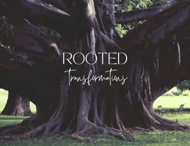 image of a large tree and the text 'rooted transformations'.