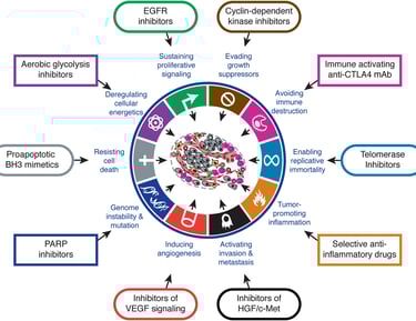 The Hallmarks of Cancer
