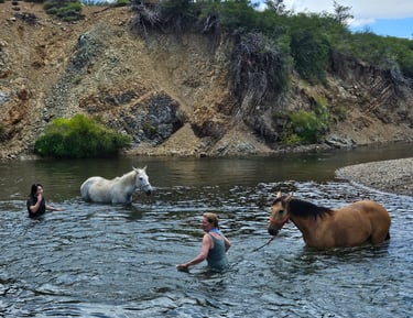 People and a horse standing in a river.