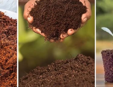 exporter of coir pith & coco peat products