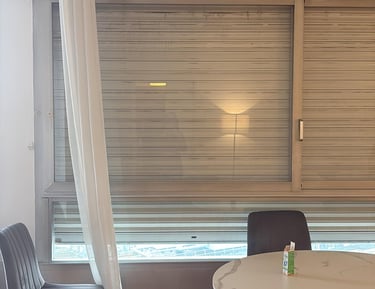 volet roulant intérieur