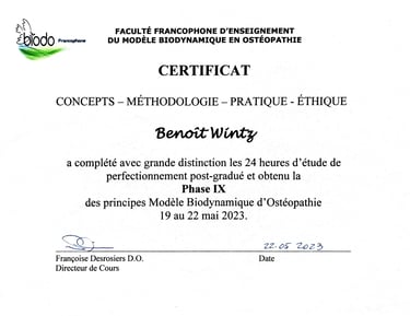 Ostéopathie Biodynamique 9 ostéopathe Toulon