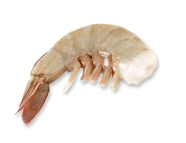 Vannamei Shrimp HLSO - awafood jsc