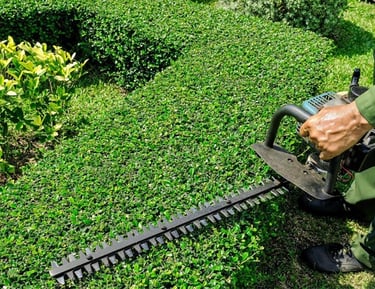 entretien des espaces verts