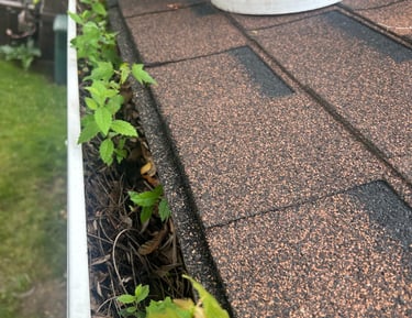 a photo of a dirty gutter that i cleaned