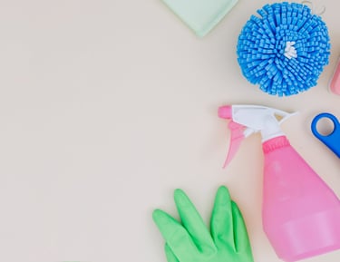 a variety of cleaning supplies including cleaning supplies