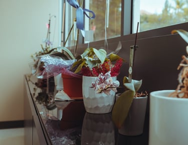Plants in the dental office.