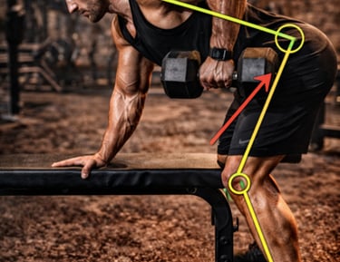 A muscular man performing a single-arm dumbbell row on a gym bench with anatomy alignment highlights.