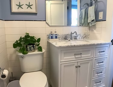 a bathroom with a toilet and a plant in it