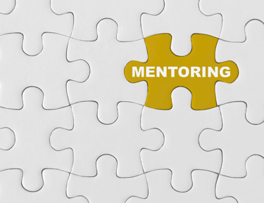 engineering leadership development and career mentoring