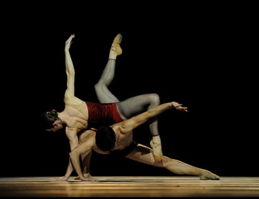 BALLET DE L’OPÉRA DE LYON - CANNES 2009 - Alain Hanel