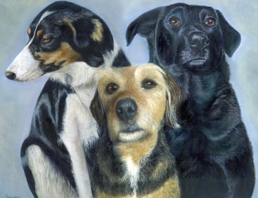Commissioned oil painting of three dogs 