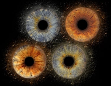 Quatuor iris dust