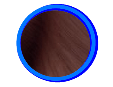 Le seal est la couleur la plus foncée du Ragdoll, elle va du marron clair au noir profond.